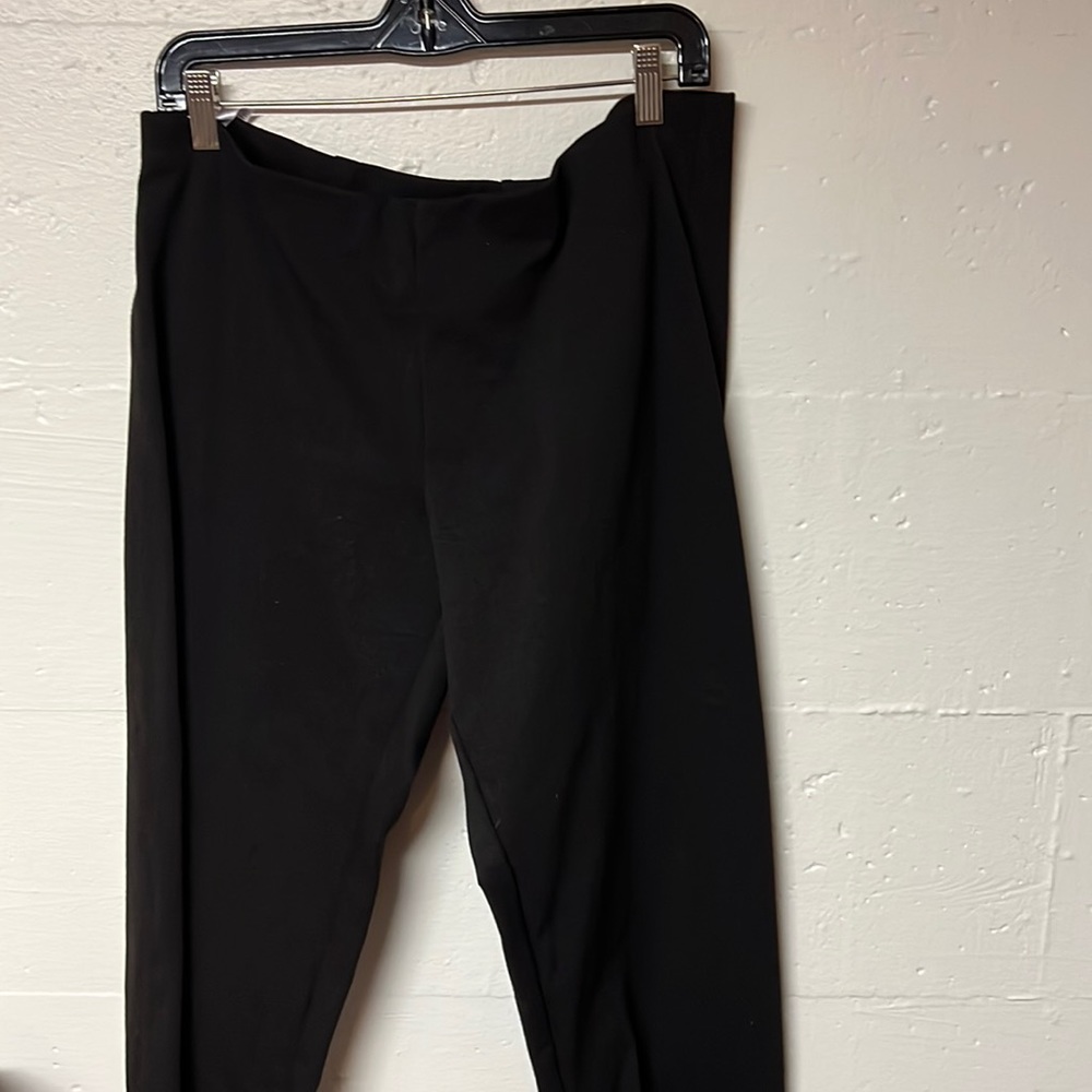 Eileen Fisher brown pants.  Great shape stretch fabric